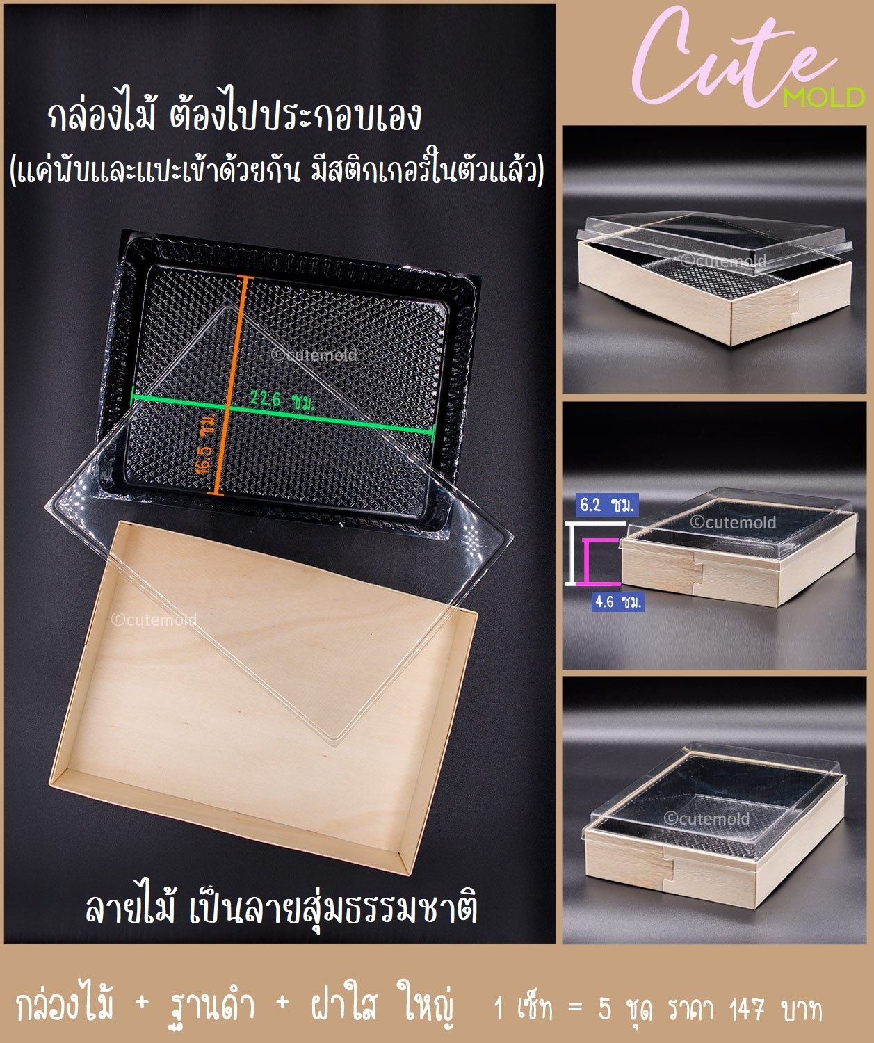 กล่องไม้ ฐานดำ ฝาใส ใหญ่