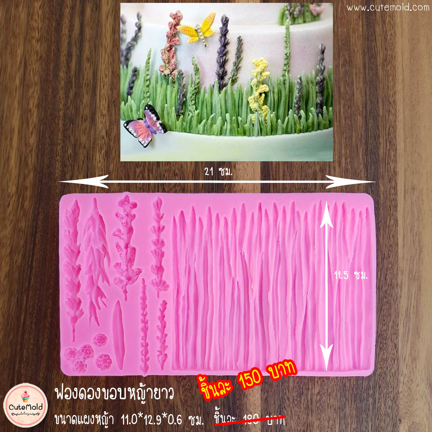 ฟองดองขอบหญ้ายาว