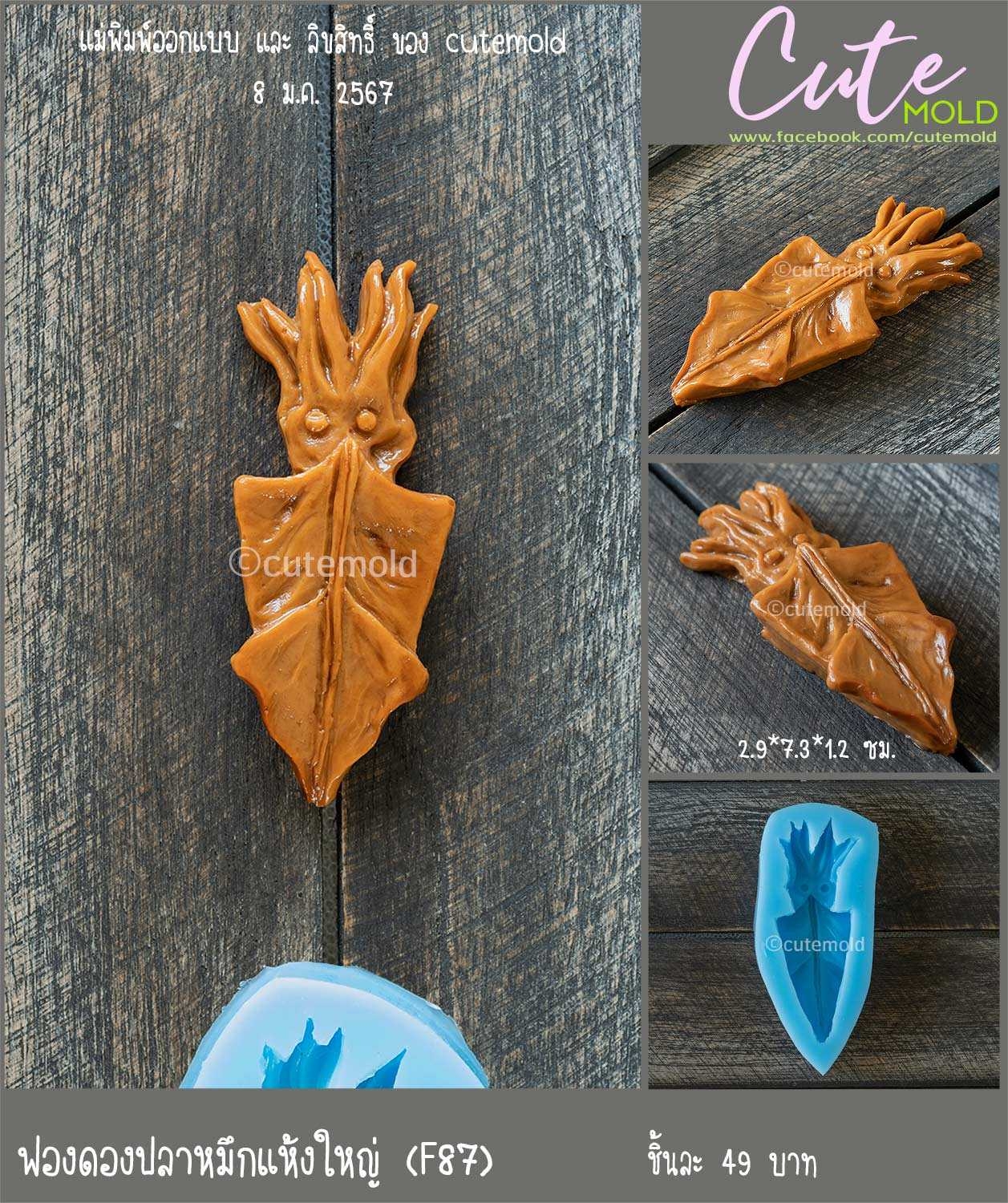 ฟองดอง ปลาหมึกแห้งใหญ่ -- F87