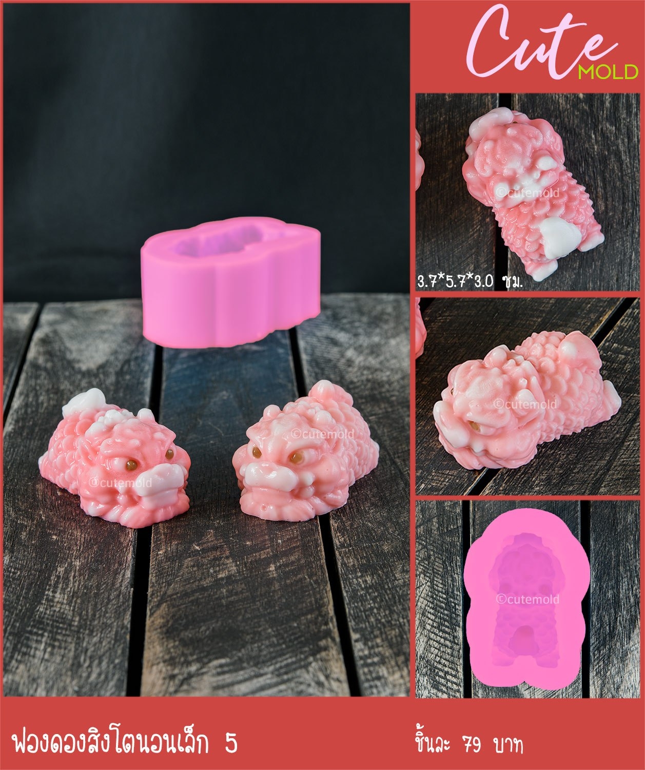 ฟองดอง สิงโตนอนเล็ก 5