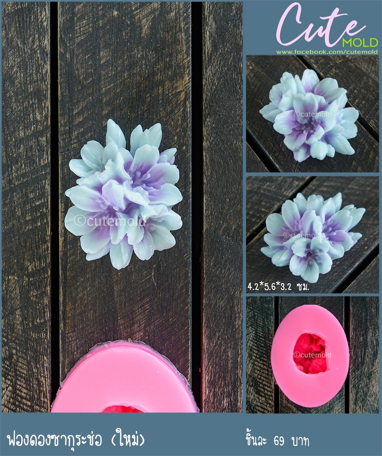 ฟองดองซากุระช่อใหม่