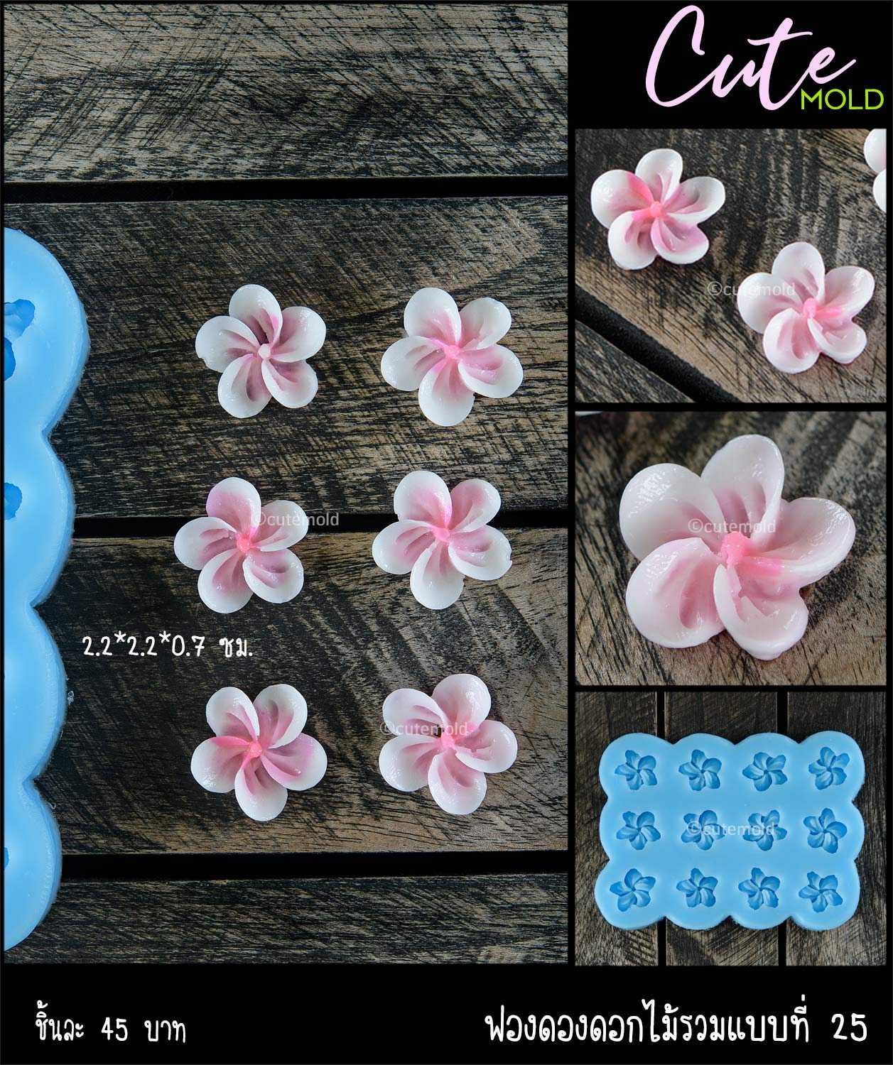 ฟองดองดอกไม้รวม 25