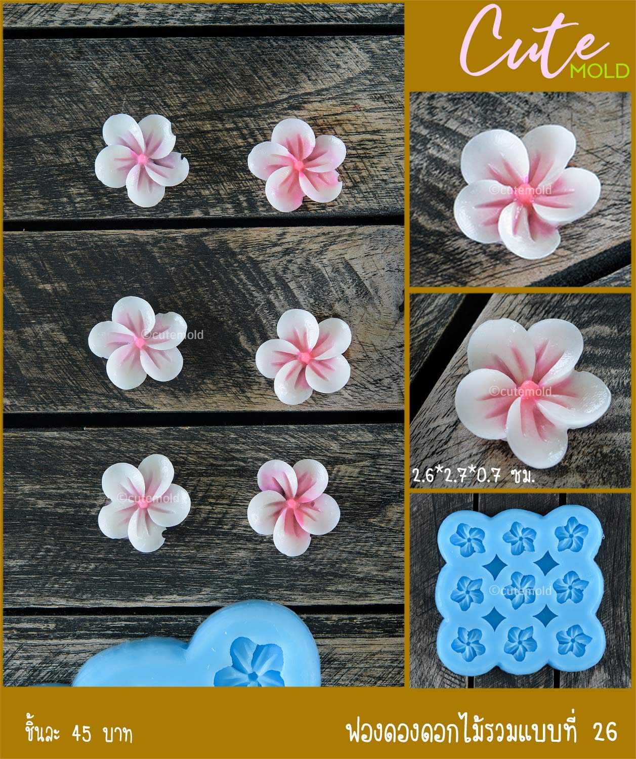 ฟองดองดอกไม้รวม 26