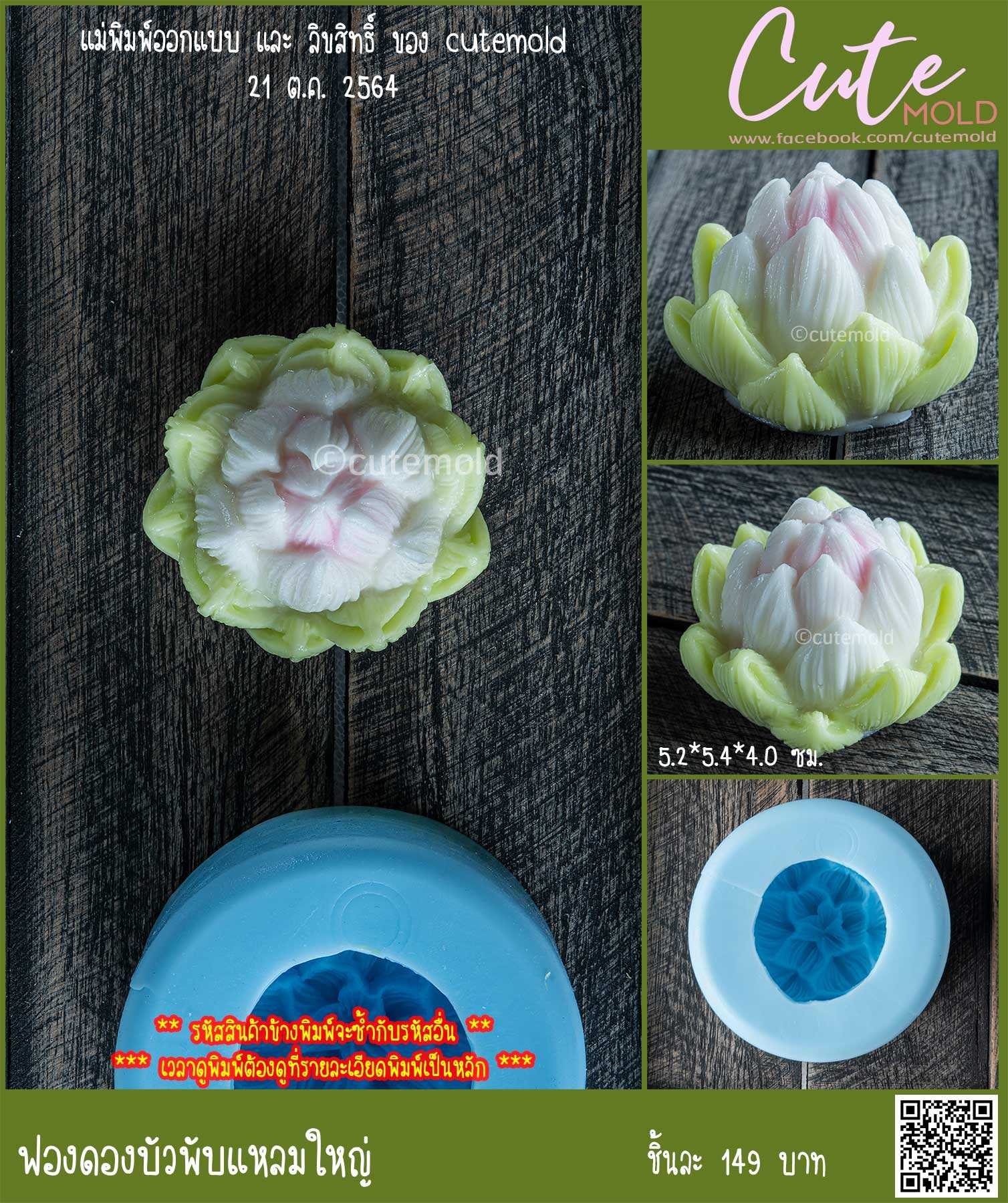 ฟองดองบัวพับแหลมใหญ่