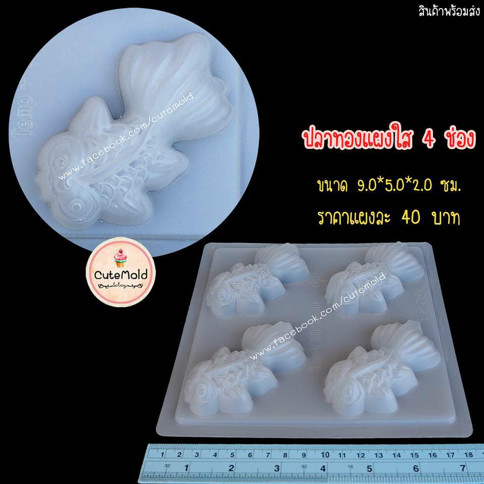 ปลาทองแผงใส 4 ช่อง (ตัว)