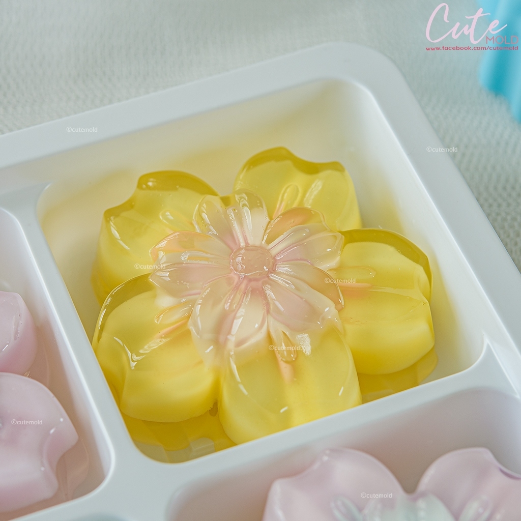 แอปเปิ้ลบรอสซัม 5 ซม. ( โหล )