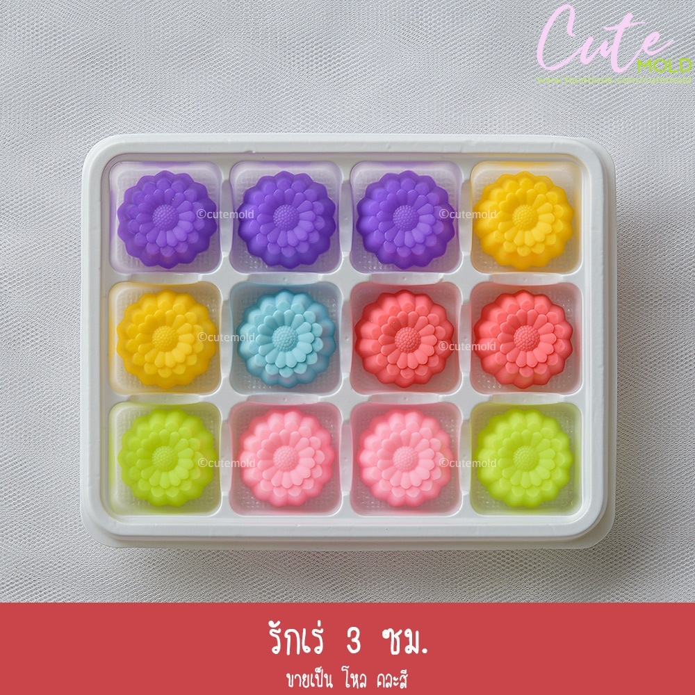 รักเร่ 3 ซม.