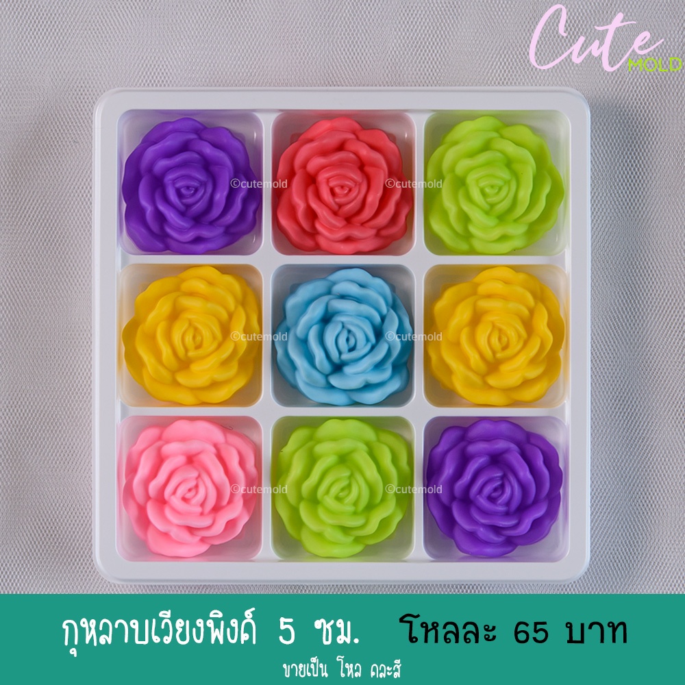 กุหลาบเวียงพิงค์ 5 ซม. ( โหล )