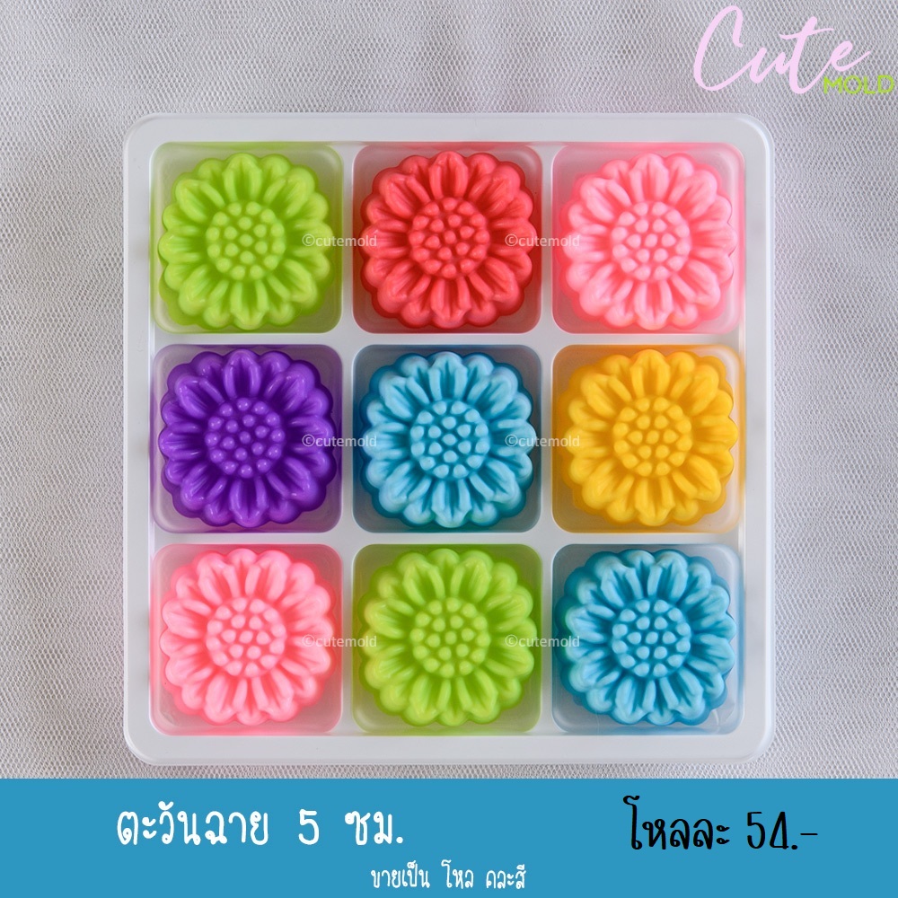 ตะวันฉาย 5 ซม. ( โหล )