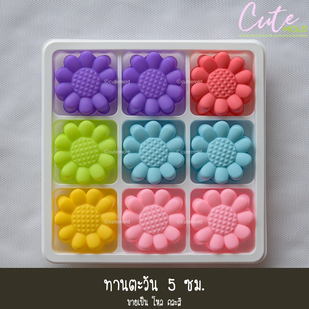 ทานตะวัน 5 ซม.