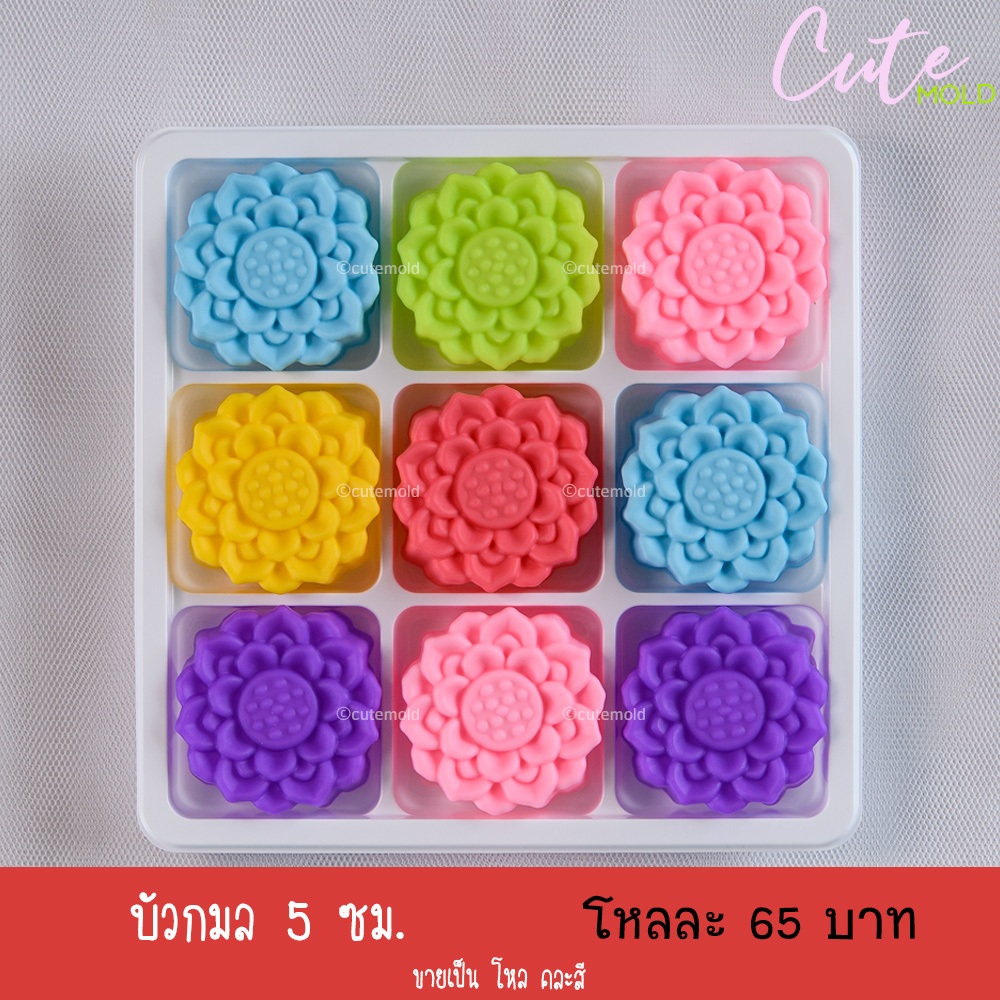 บัวกมล 5 ซม. ( โหล )