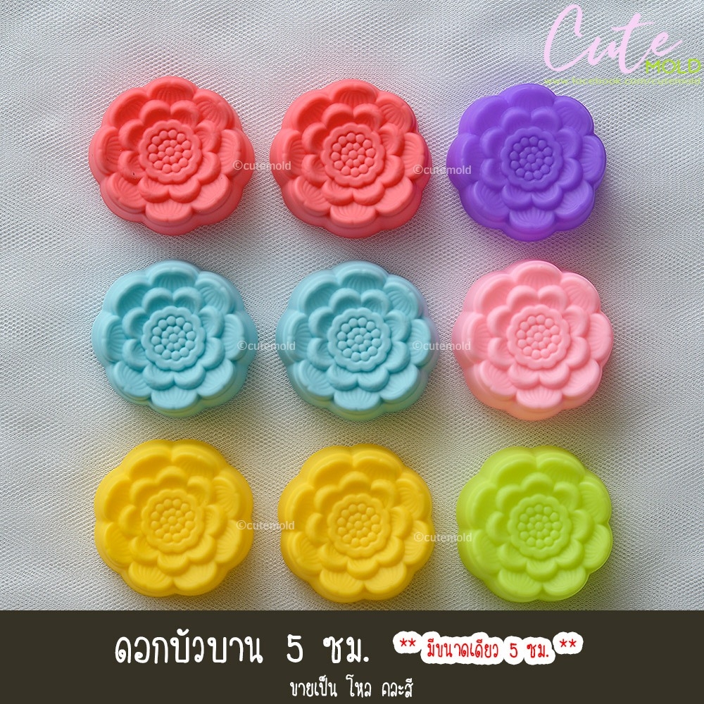 ดอกบัวบาน 5 ซม.