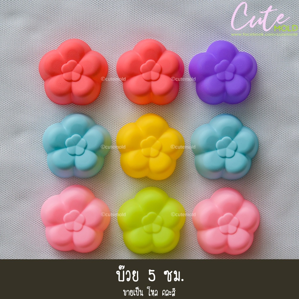 บ๊วย 5 ซม.