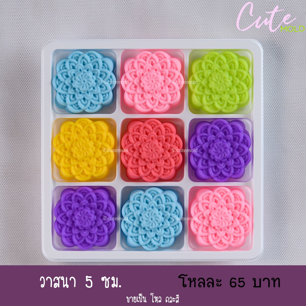 วาสนา 5 ซม. ( โหล )