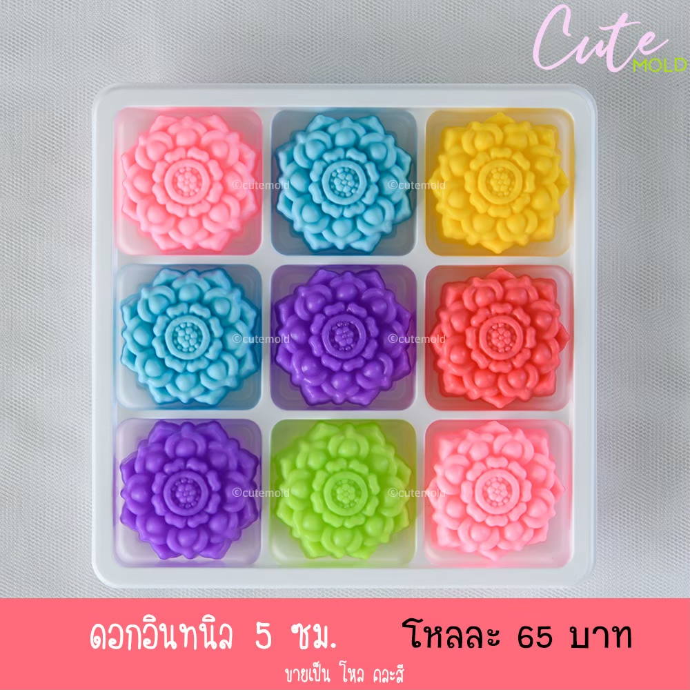 อินทนิล 5 ซม. ( โหล )