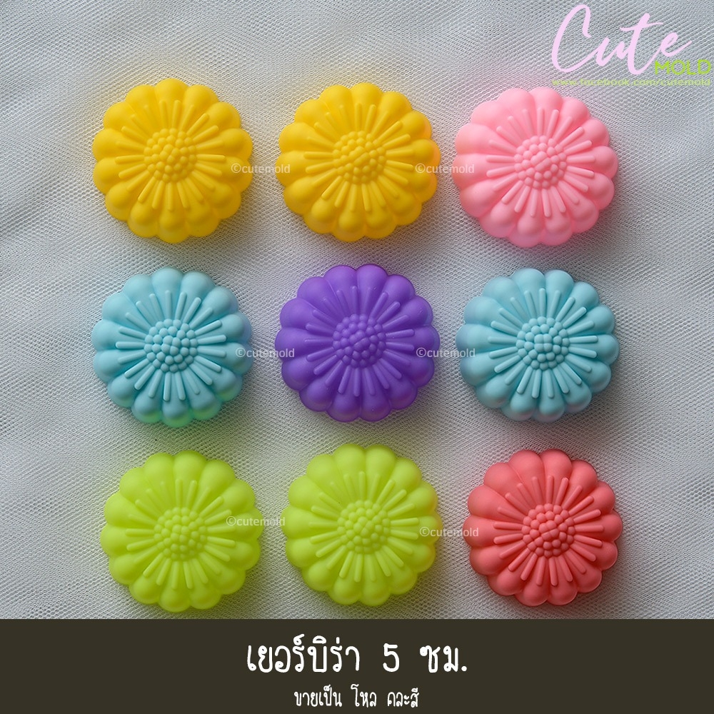 เยอร์บิร่า 5 ซม.