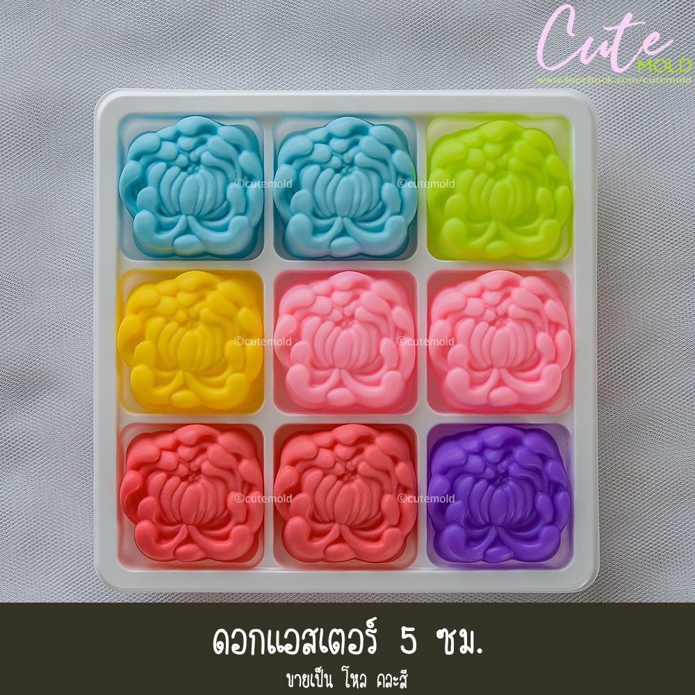 ดอกแอสเตอร์ 5 ซม.