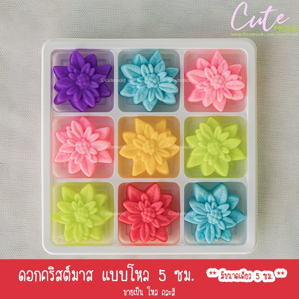 ดอกคริสต์มาส 5 ซม. ( โหล )