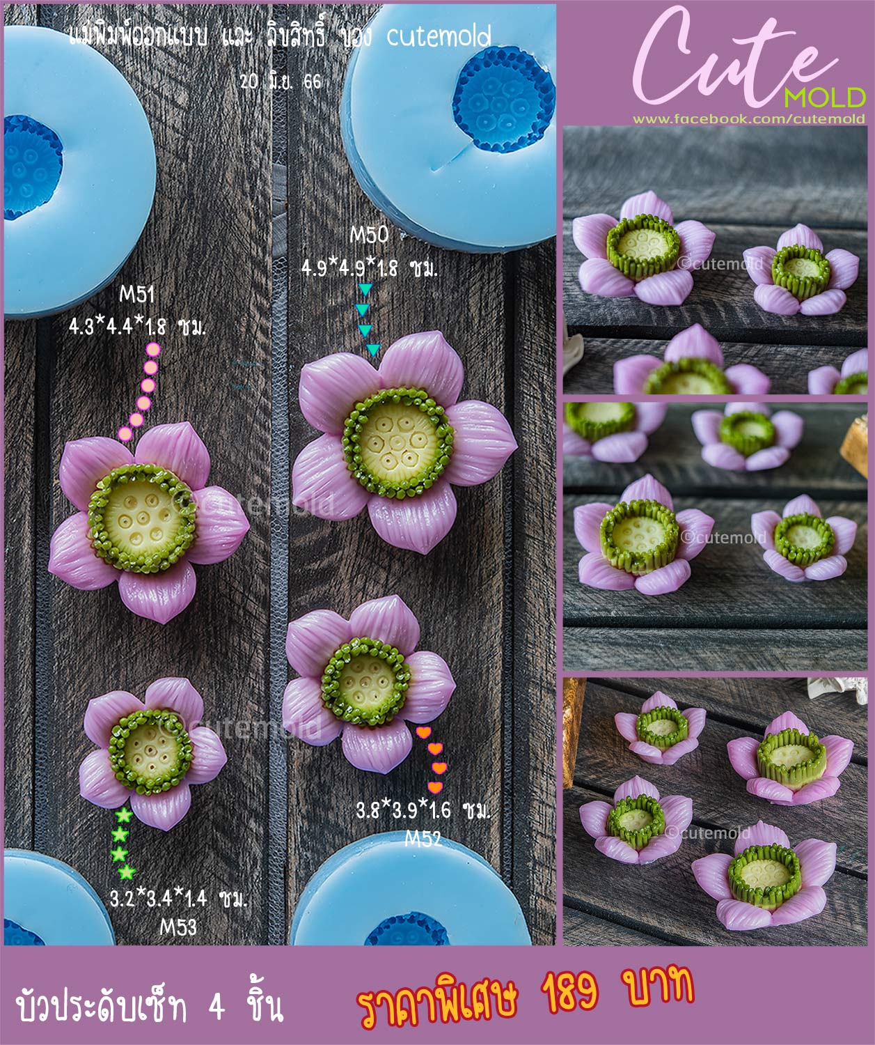 Special price ชุดบัวประดับ (เซ็ท 4 ชิ้น) (M50- 51- 52- 53)