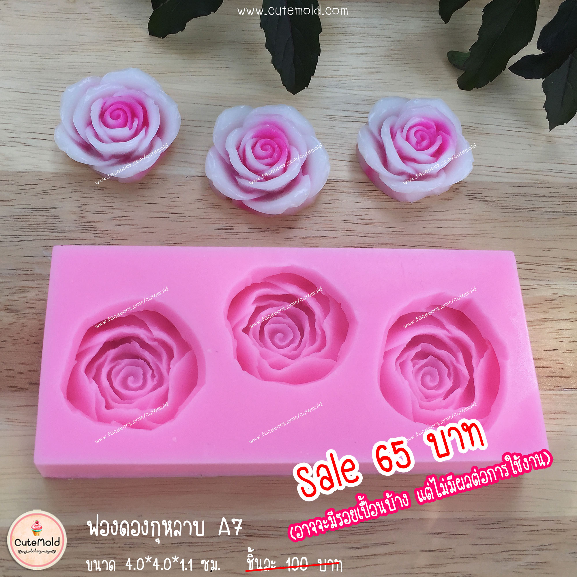 ฟองดองกุหลาบ A7