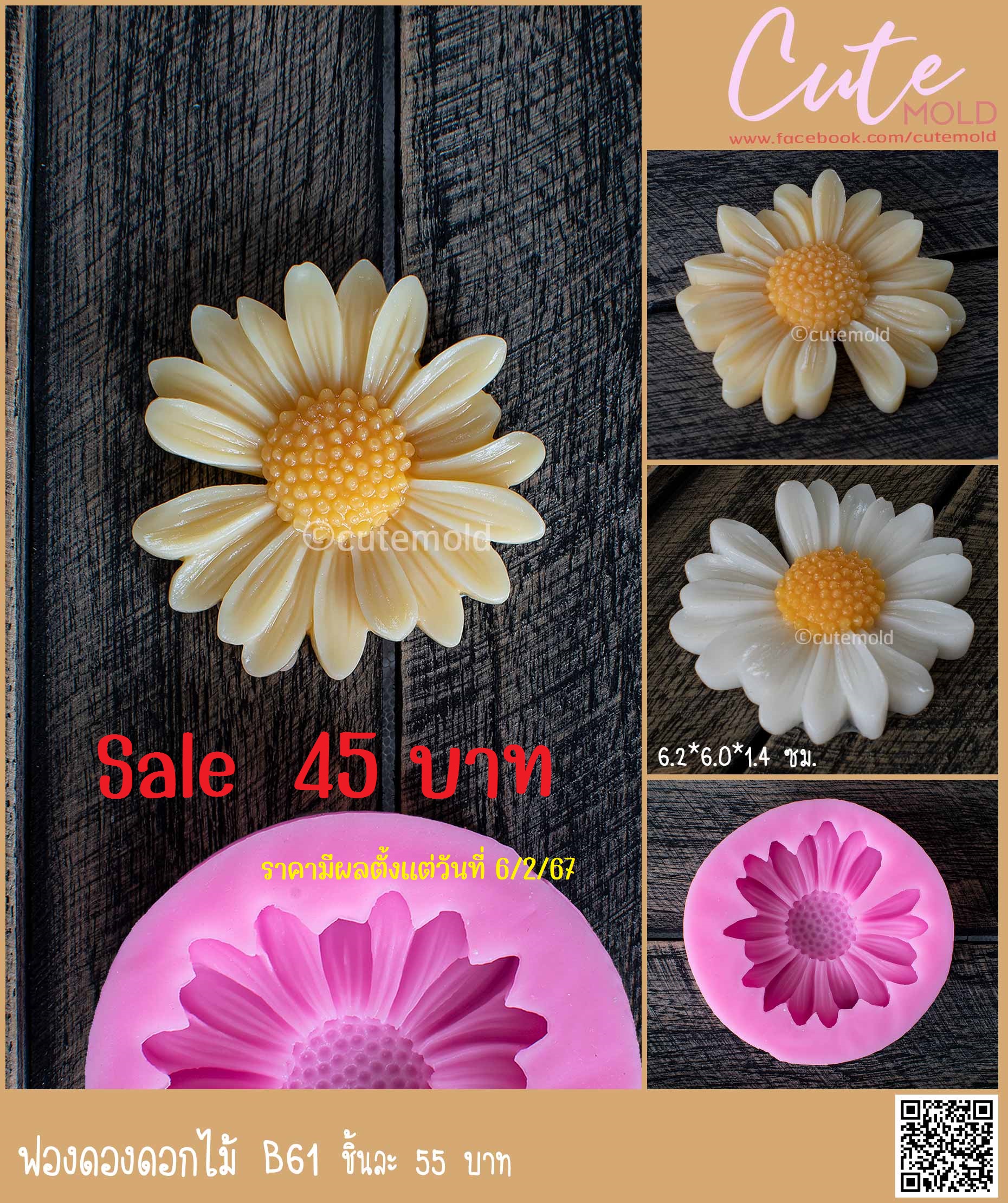 ฟองดองดอกไม้ B61