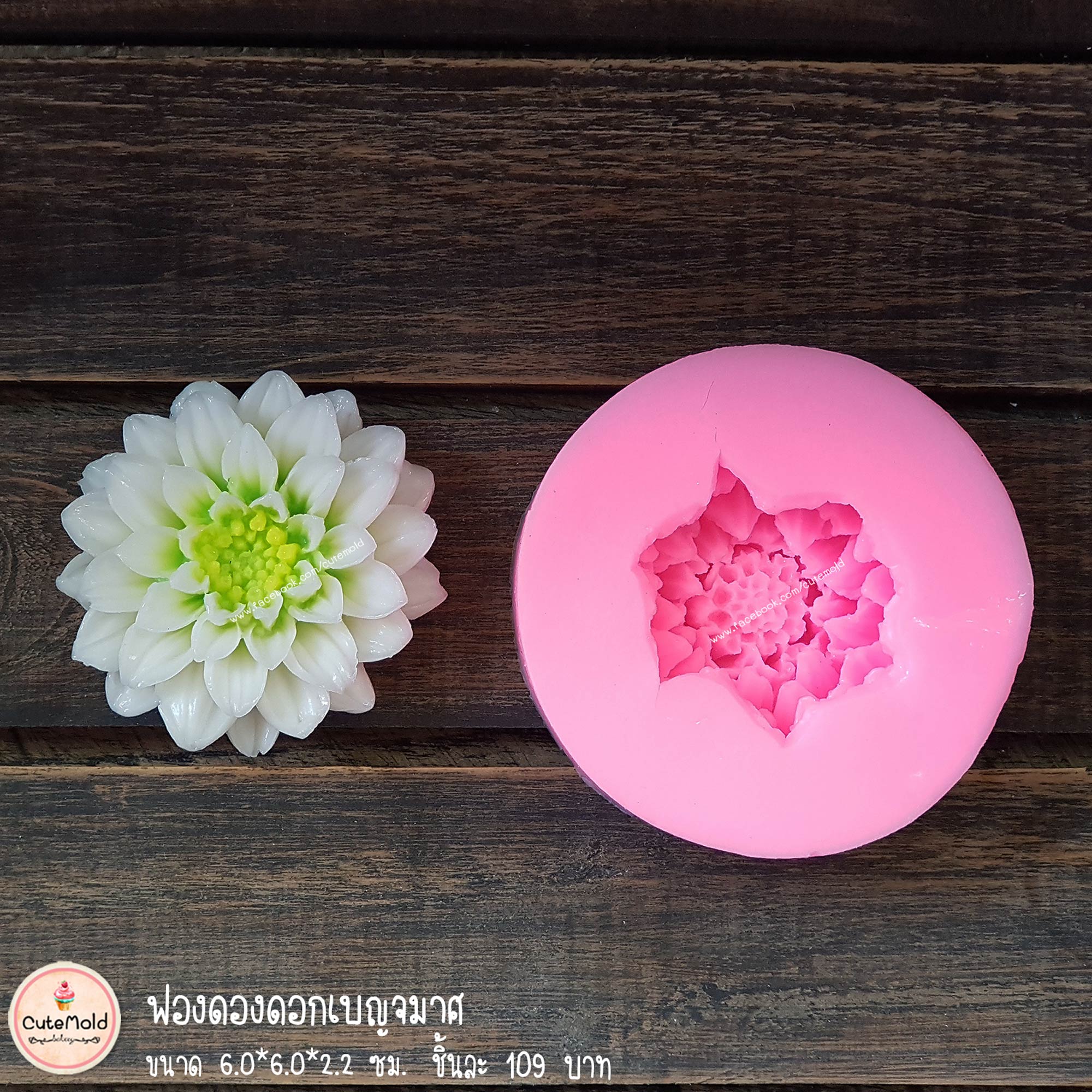 ฟองดองดอกเบญจมาศ B25