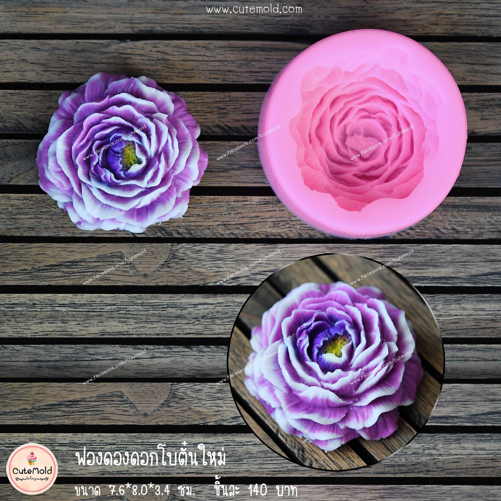 ฟองดองดอกโบตั๋นใหม่ B28