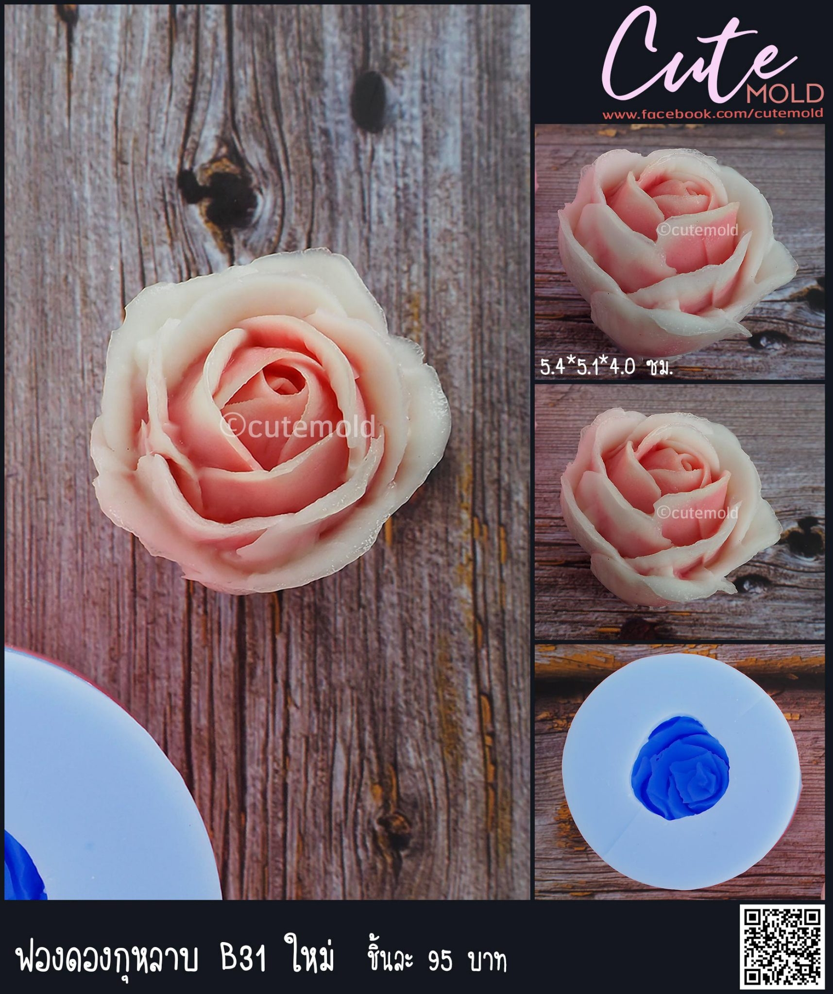 ฟองดองกุหลาบ B31