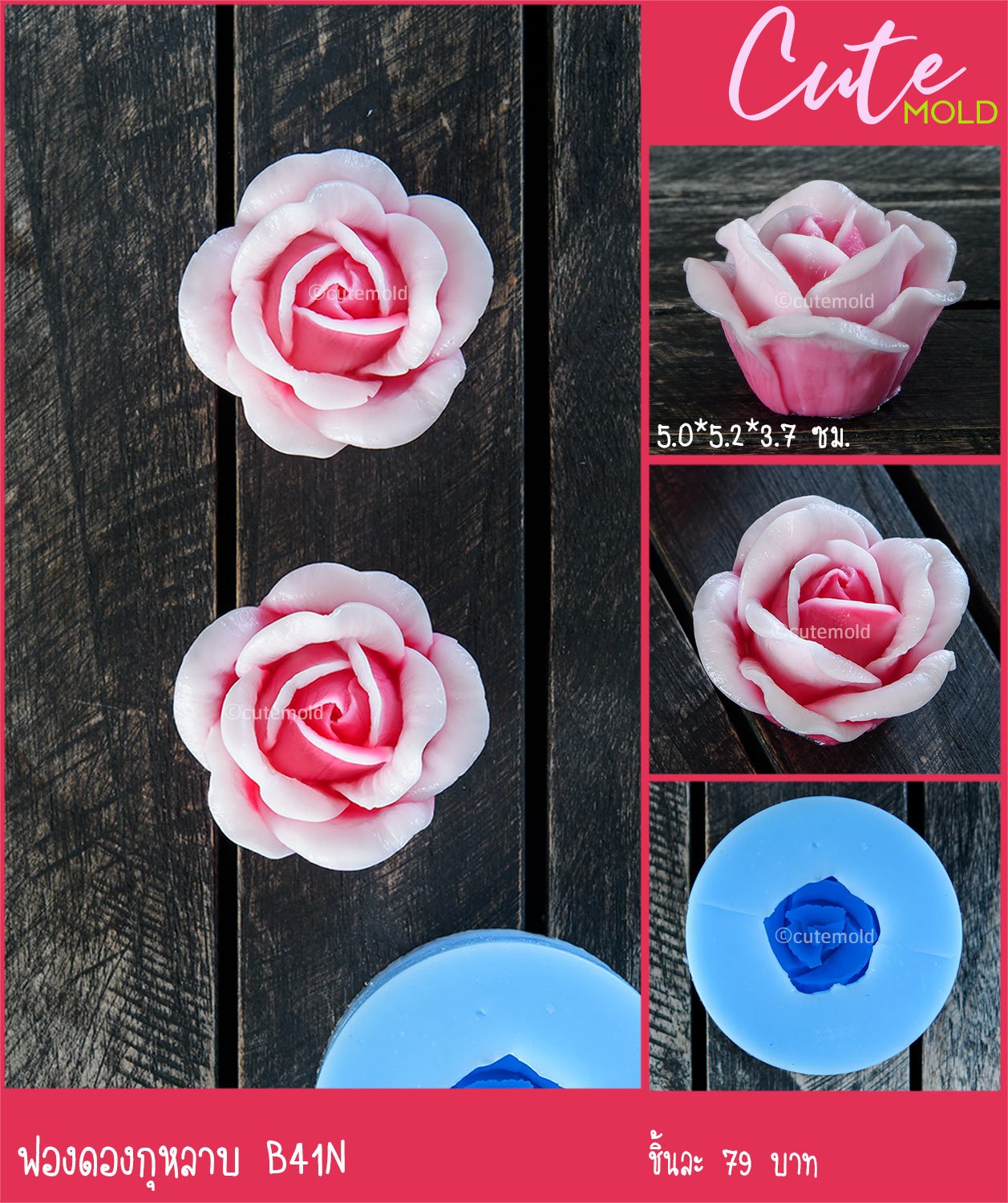 ฟองดองกุหลาบ B41N