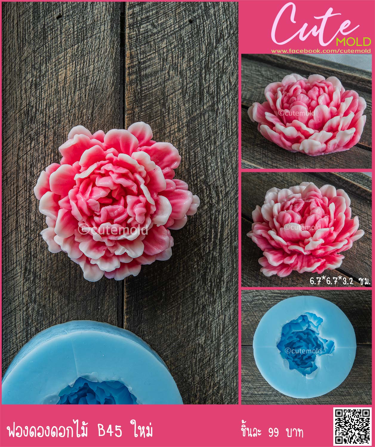 ฟองดองกุหลาบ B45