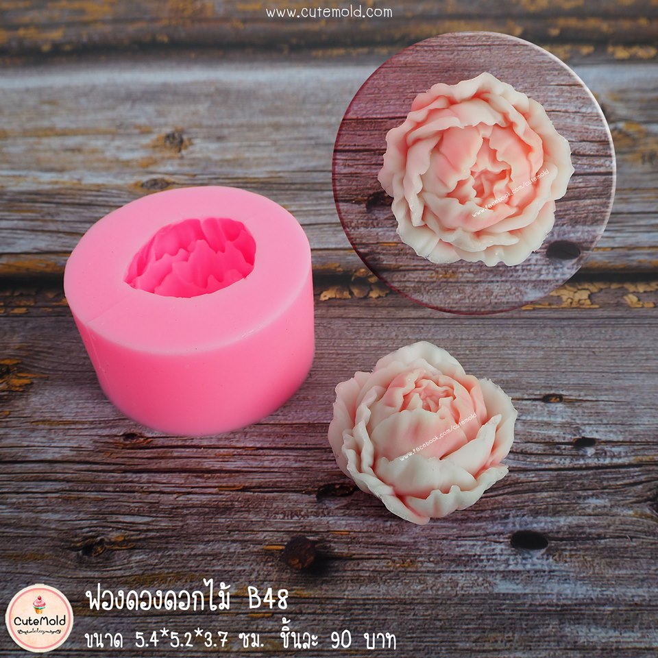ฟองดองกุหลาบ B48
