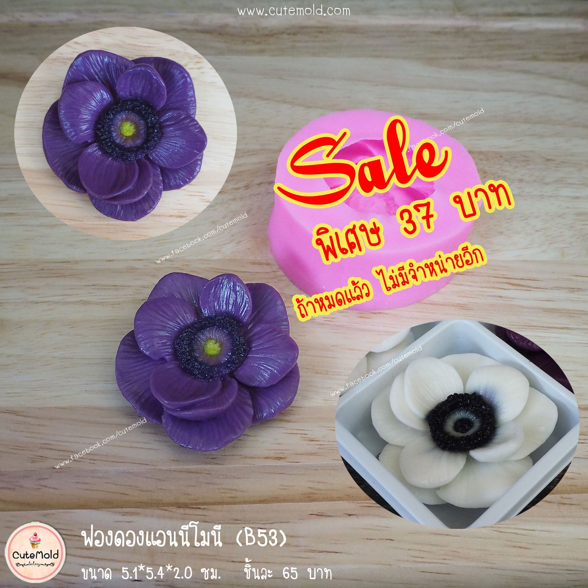 ฟองดองแอนนีโมนี B53