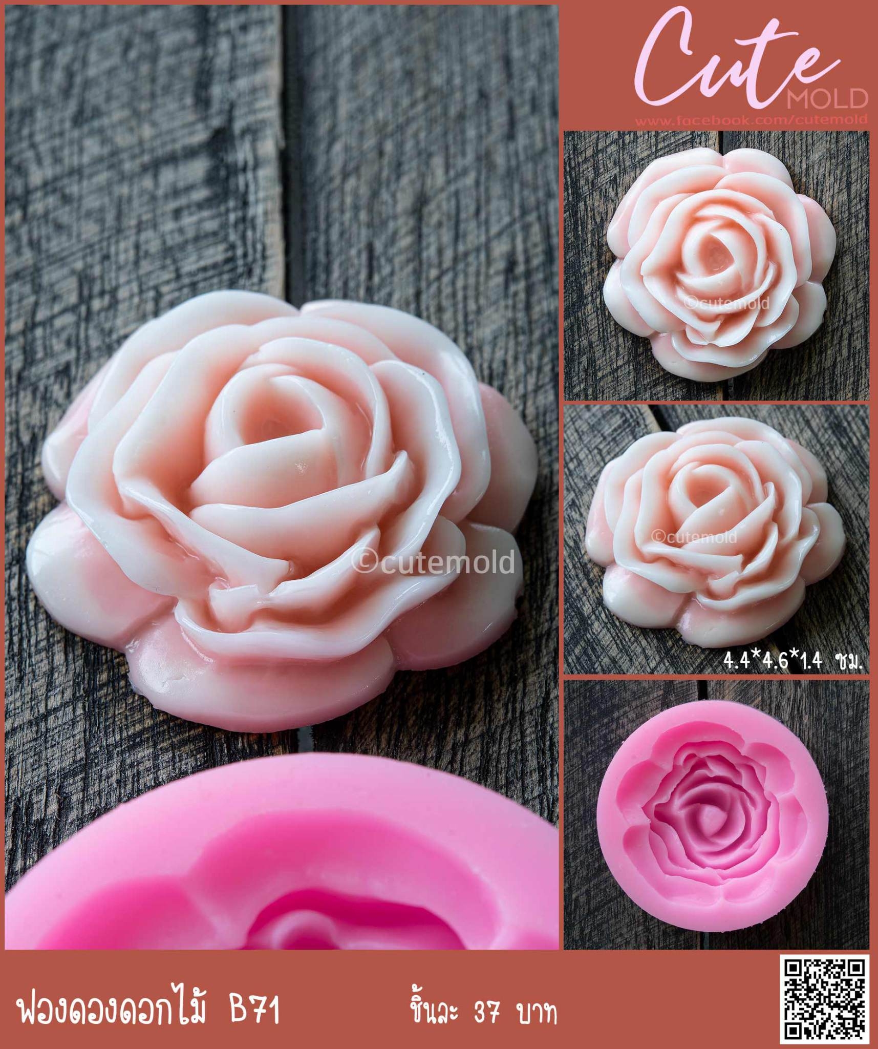 ฟองดองดอกกุหลาบ  B71