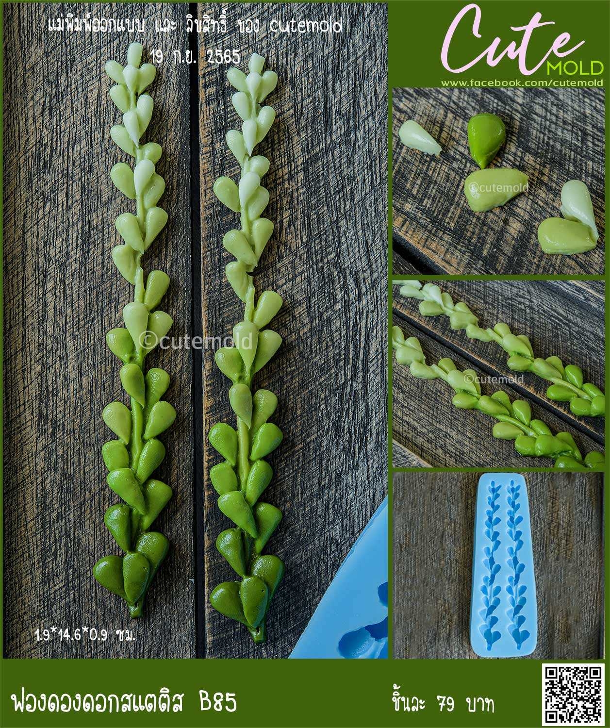 ฟองดองดอกสแตติส B85