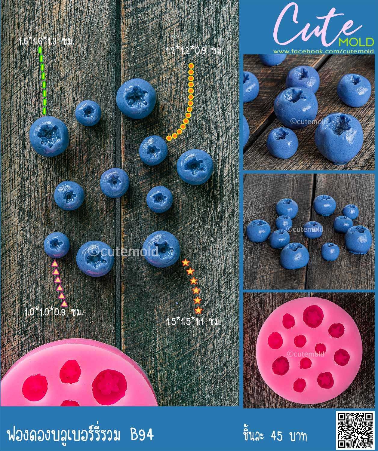 ฟองดองบลูเบอร์รี่รวม B94