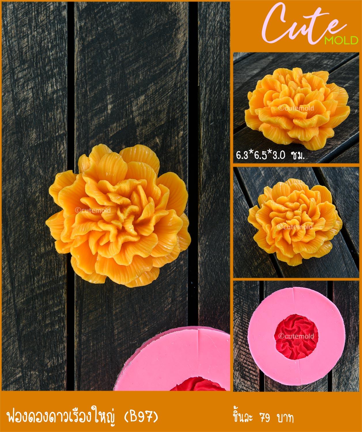 ฟองดองดาวเรืองใหญ่ B97