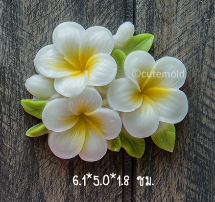 ฟองดองลีล่าวดีช่อ B87