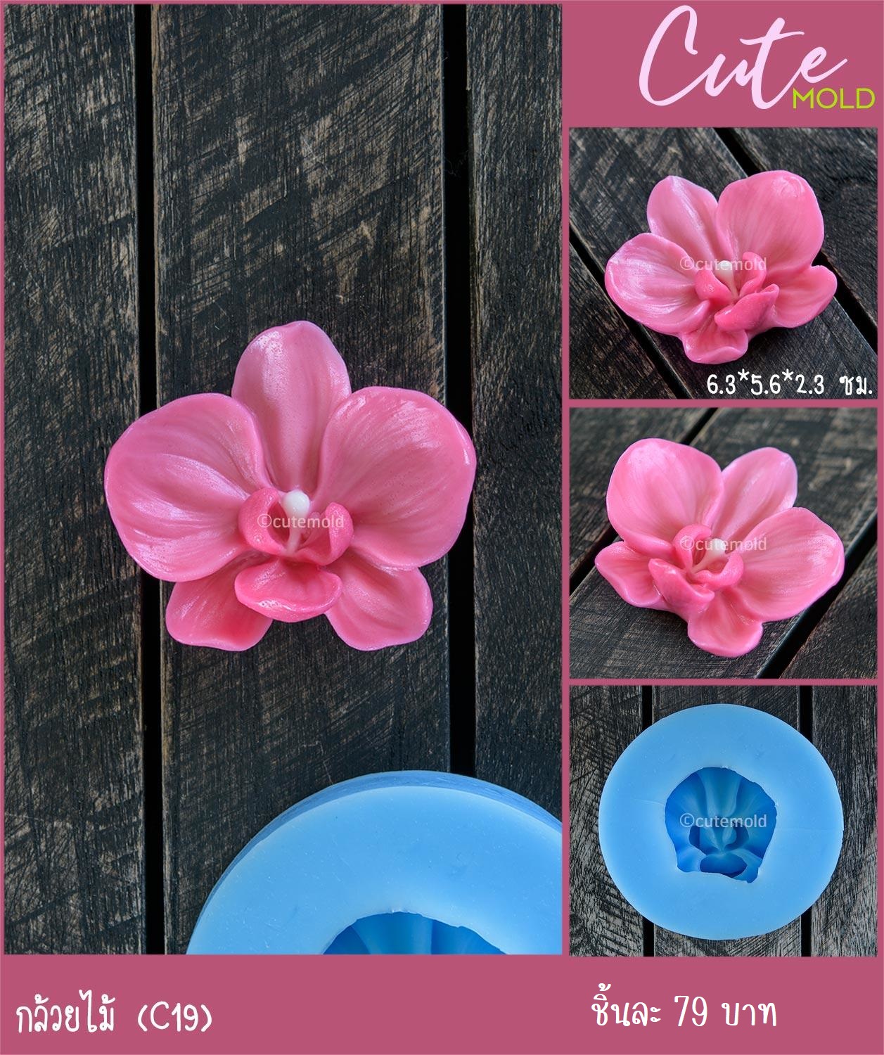 ฟองดองกล้วยไม้ C19