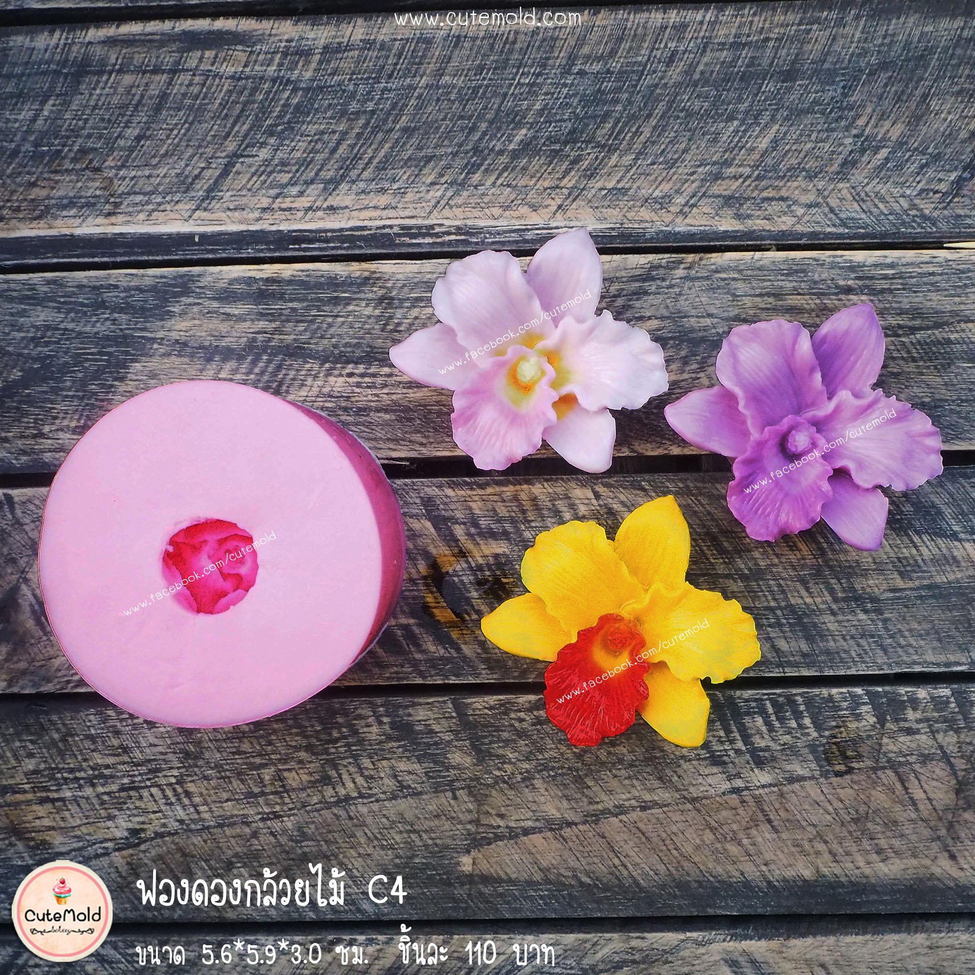 ฟองดองกล้วยไม้ C4