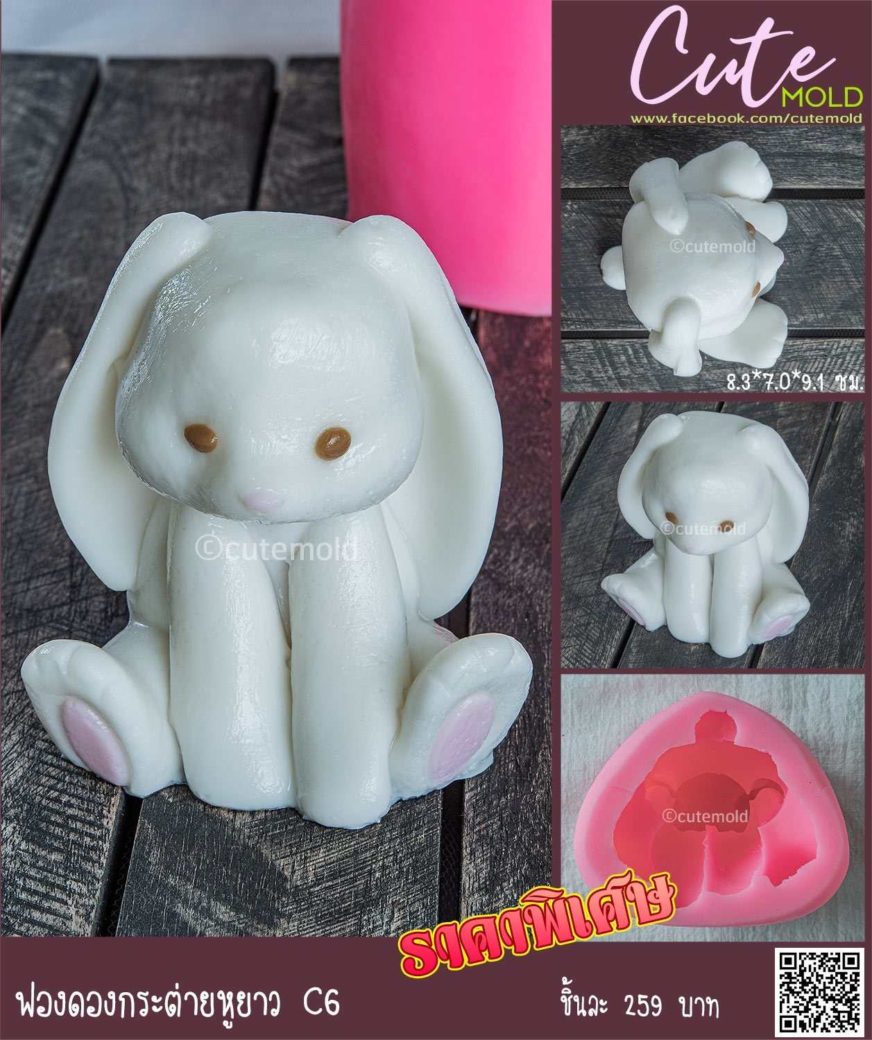 ฟองดองกระต่ายหูยาว C6