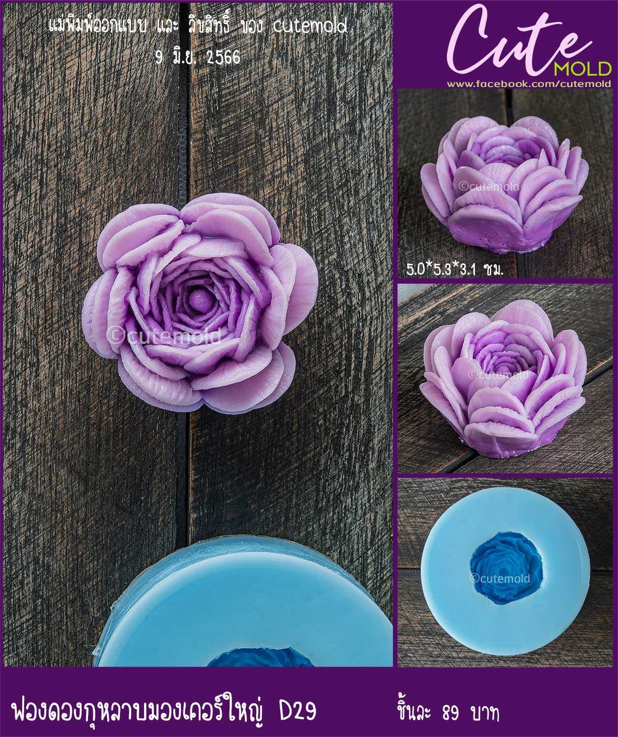 กุหลาบ มองเคอร์ใหญ่ --  D29