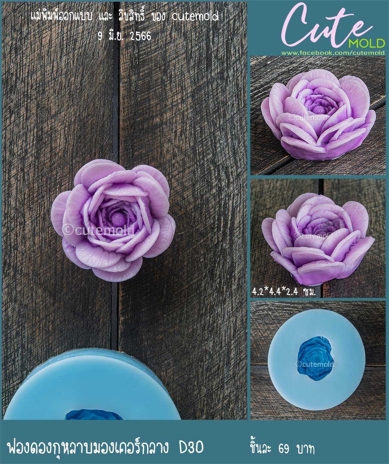 กุหลาบ มองเคอร์กลาง --  D30