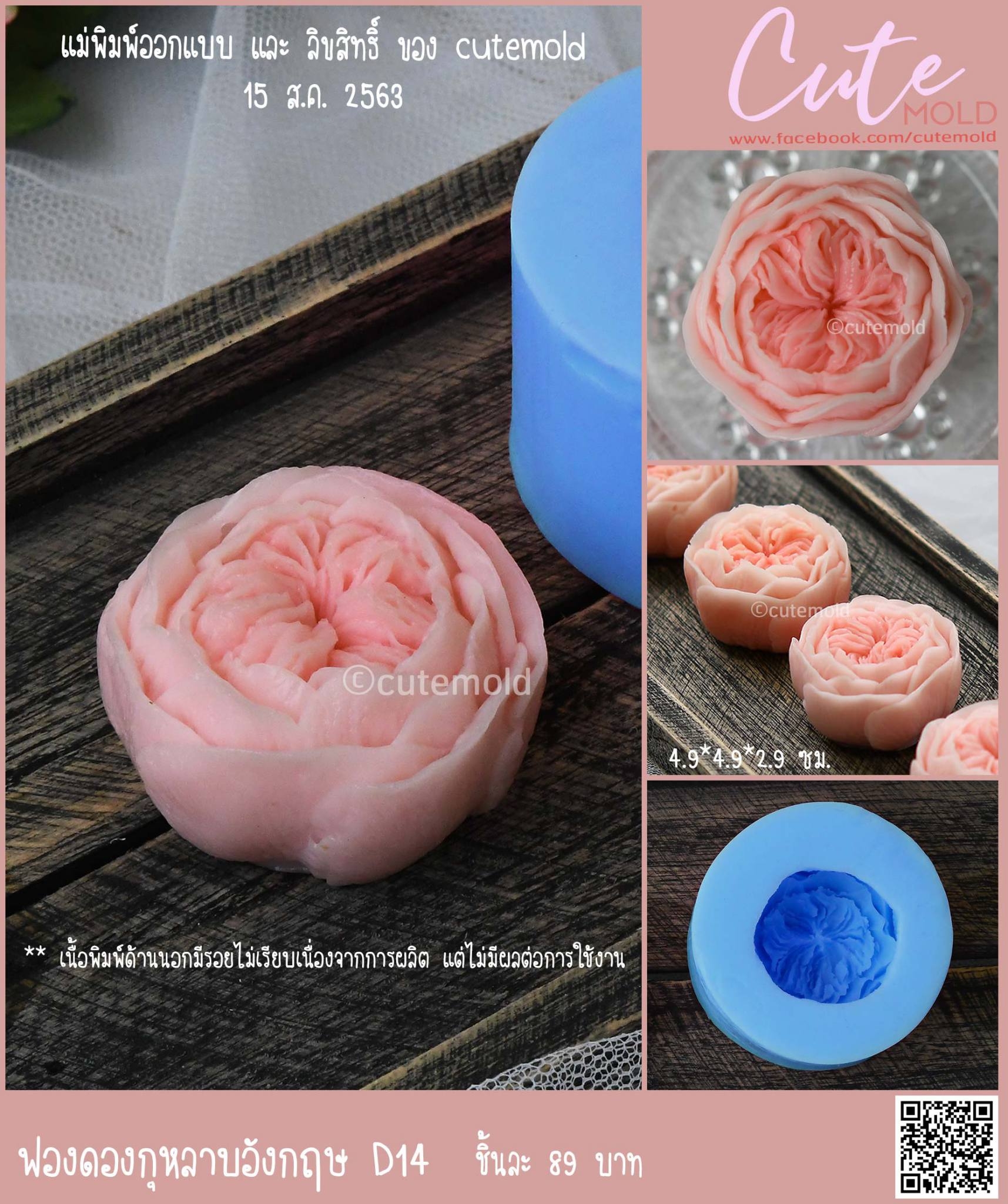 ฟองดองกุหลาบอังกฤษ D14