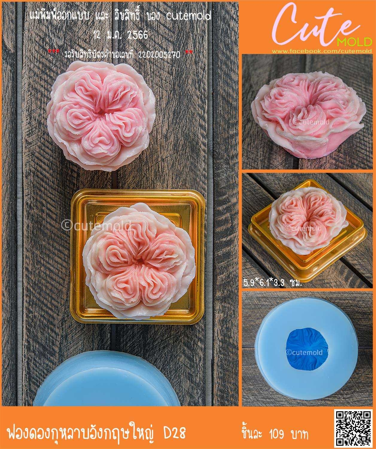 ฟองดองกุหลาบอังกฤษใหญ่ D28