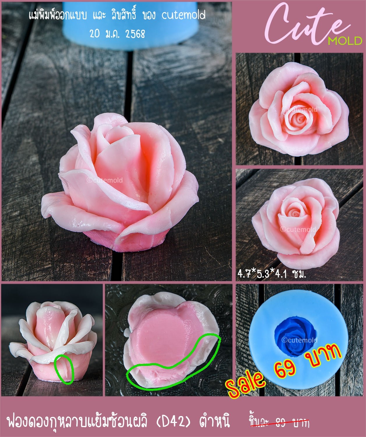 ฟองดองกุหลาบแย้มซ้อนผลิ D42 ตำหนิ