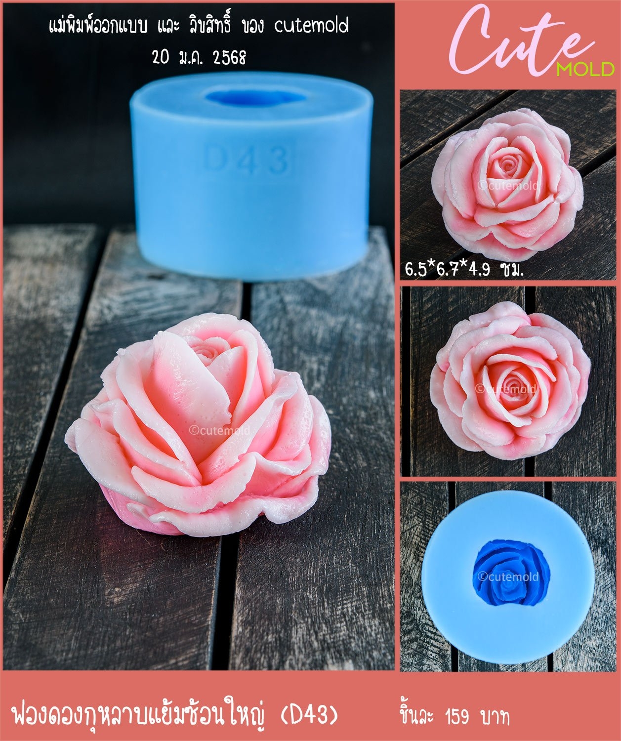 ฟองดองกุหลาบแย้มซ้อนใหญ่ D43
