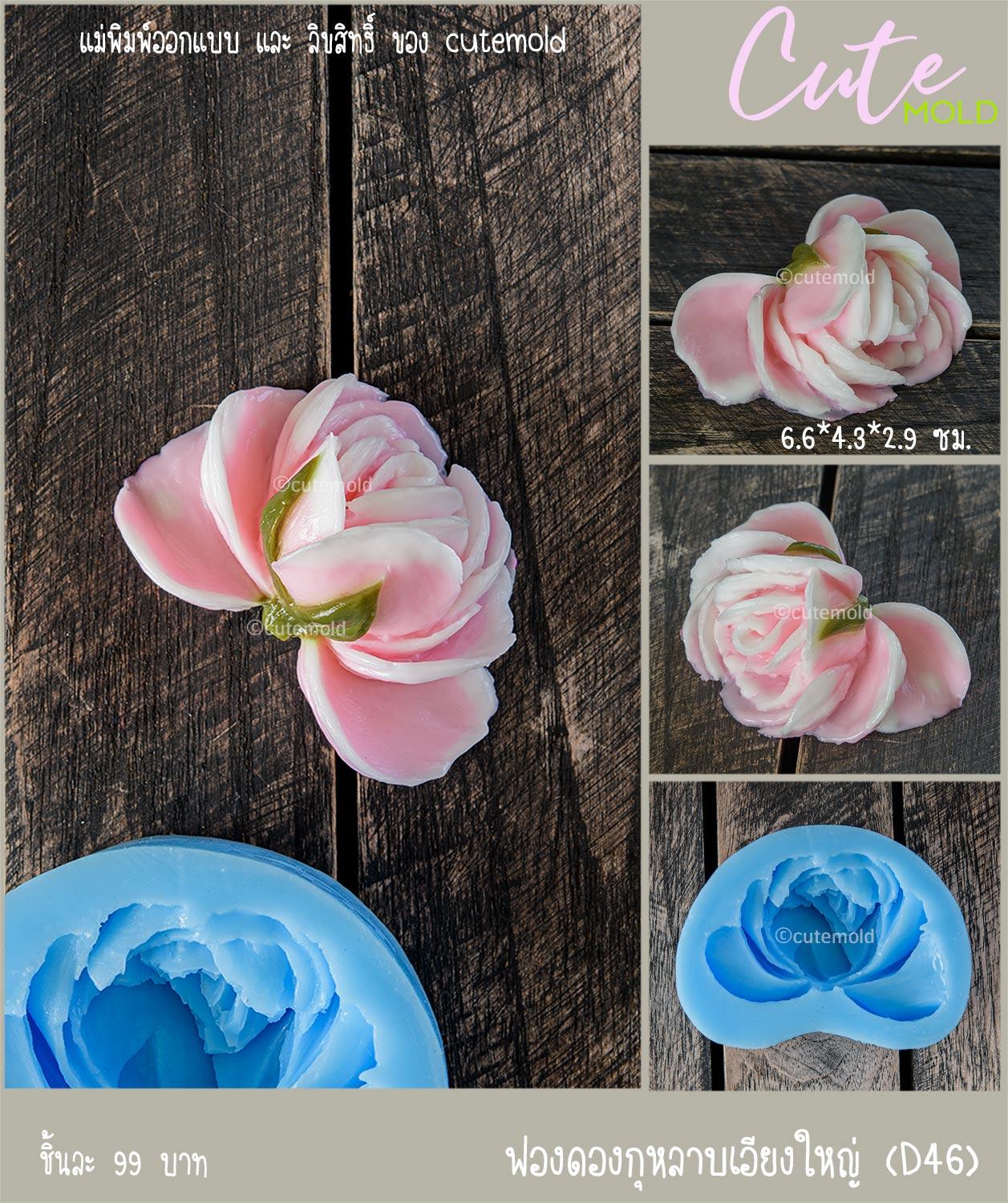 ฟองดองกุหลาบเอียงใหญ่ D46