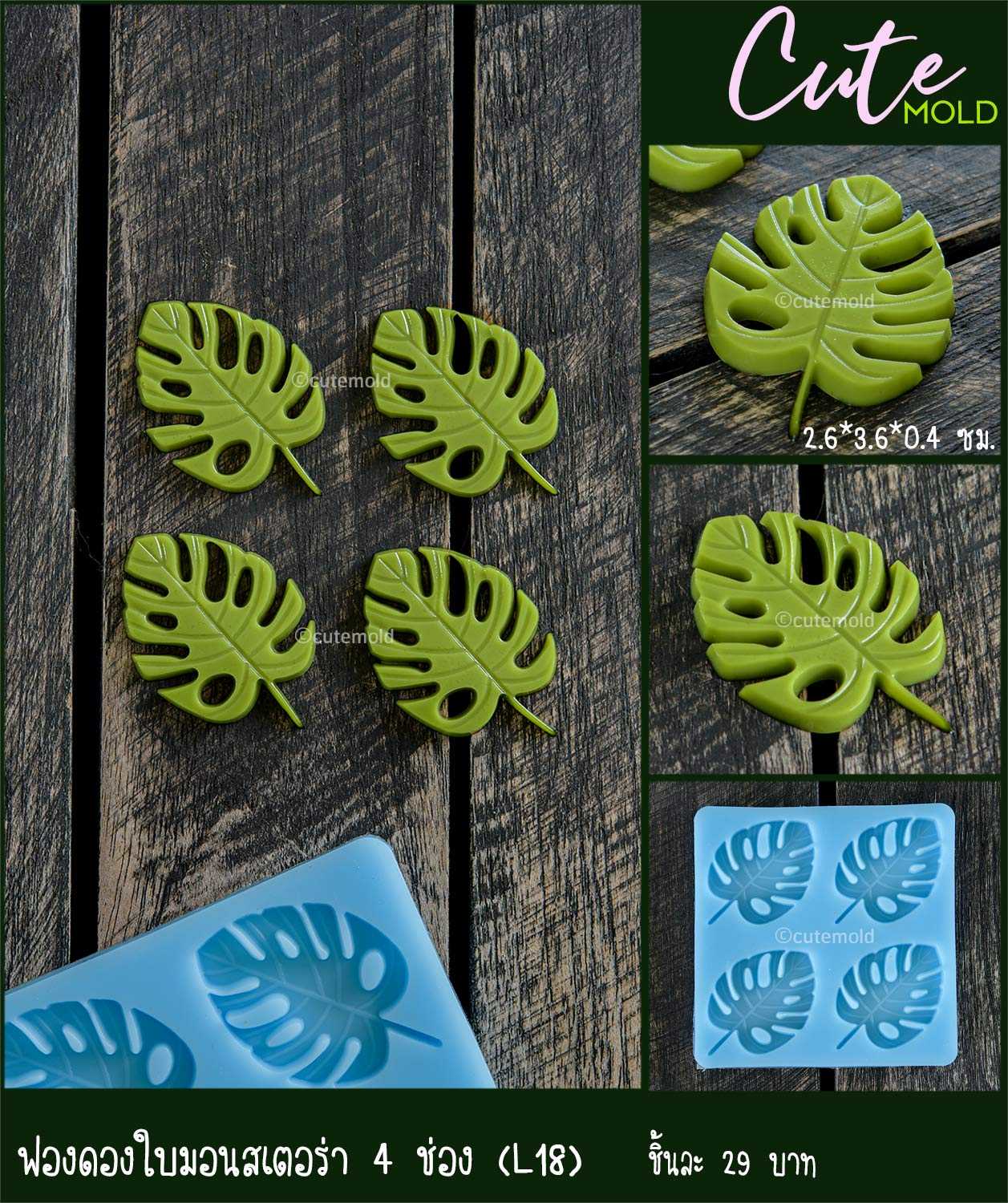 ฟองดองใบมอนเสตอร่า 4 ช่อง L18