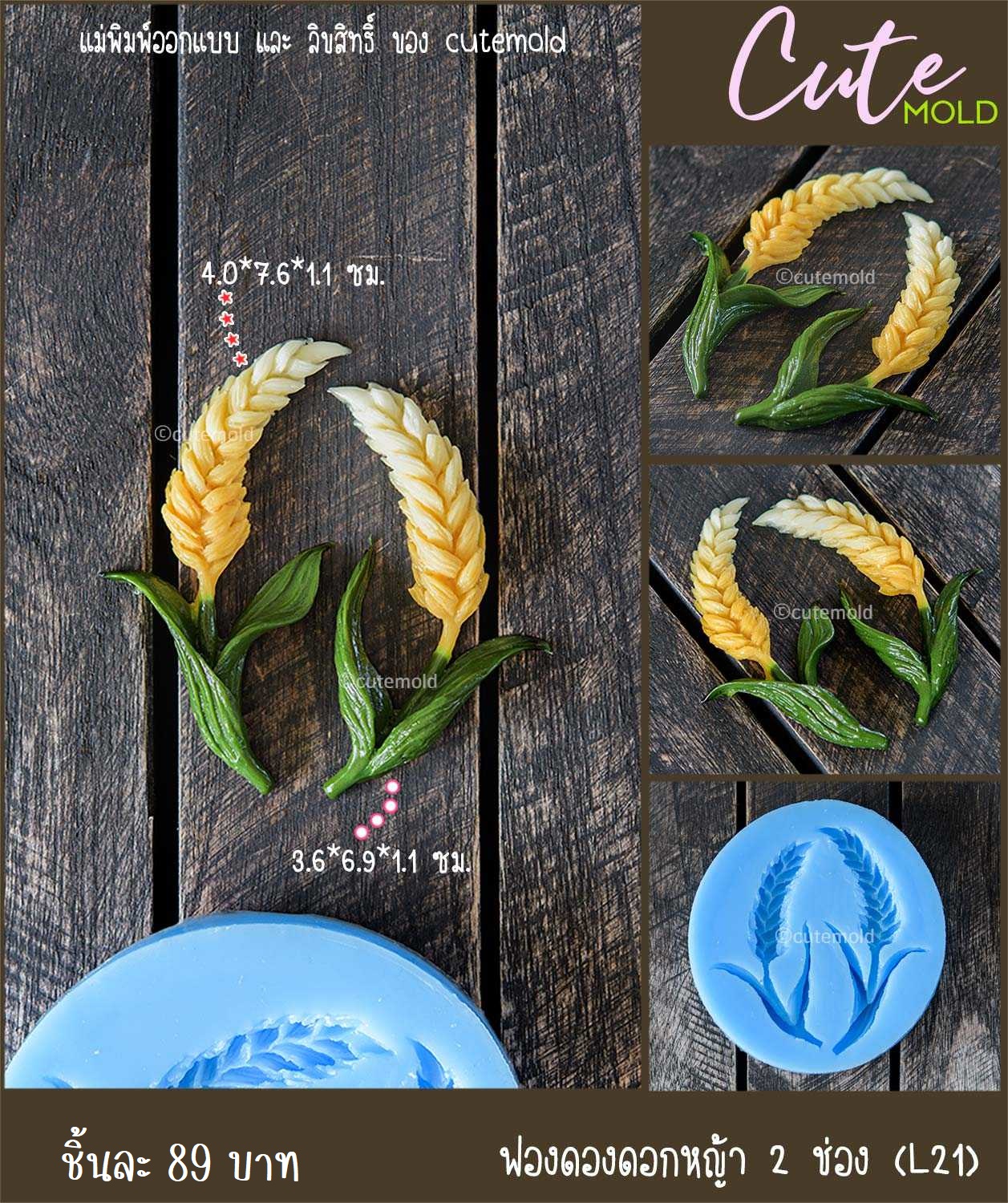 ฟองดองดอกหญ้า 2 ช่อง L21