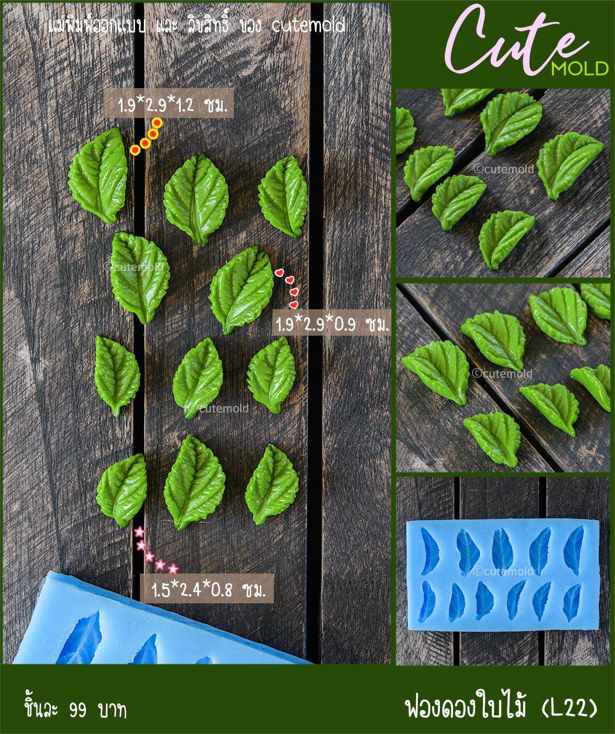 ฟองดองใบไม้ L22